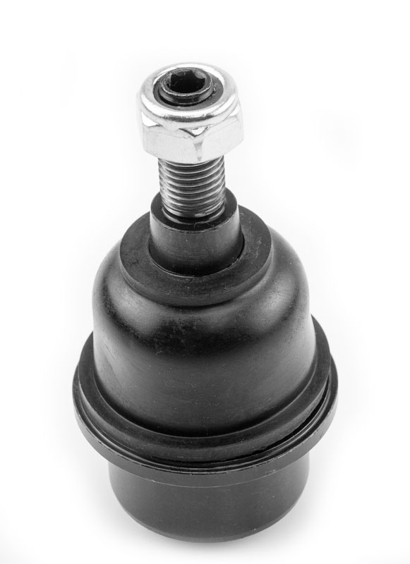 ROTULA INFERIOR