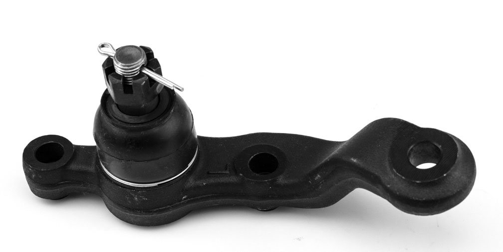 ROTULA INFERIOR IZQ