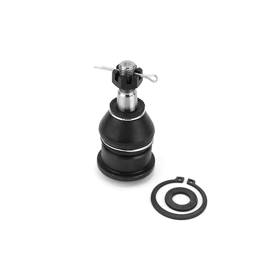[1006004IT] ROTULA INFERIOR