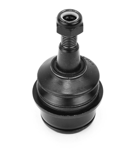 [1006031] ROTULA INFERIOR