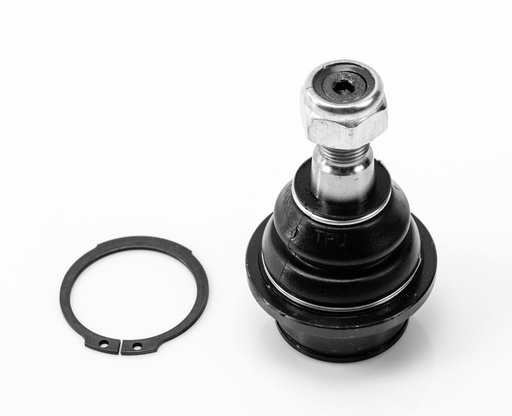 [1008016] ROTULA INFERIOR