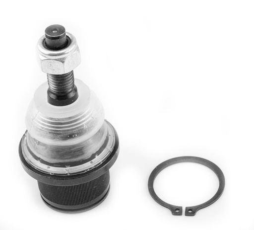 [1008030] ROTULA INFERIOR