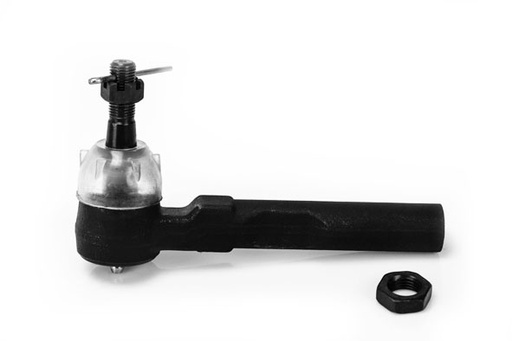 [ES-3455-RL] TERMINAL DIRECCION