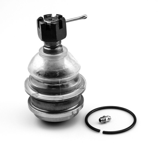 [40160-01G50] ROTULA INFERIOR