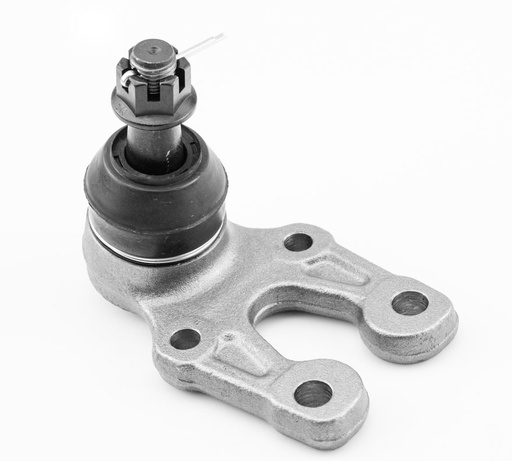 [1025011] ROTULA INFERIOR